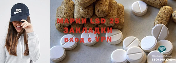 spice Богданович