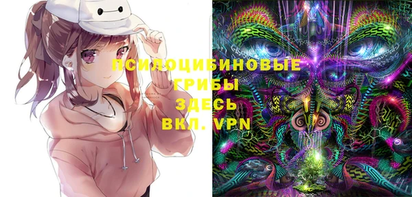 spice Богданович