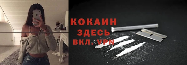 дурь Богородицк
