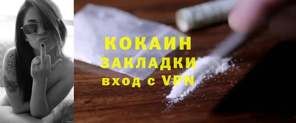 spice Богданович
