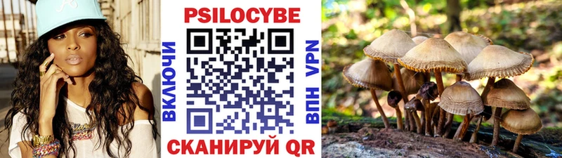 блэк спрут рабочий сайт Красный Кут Галлюциногенные грибы GOLDEN TEACHER